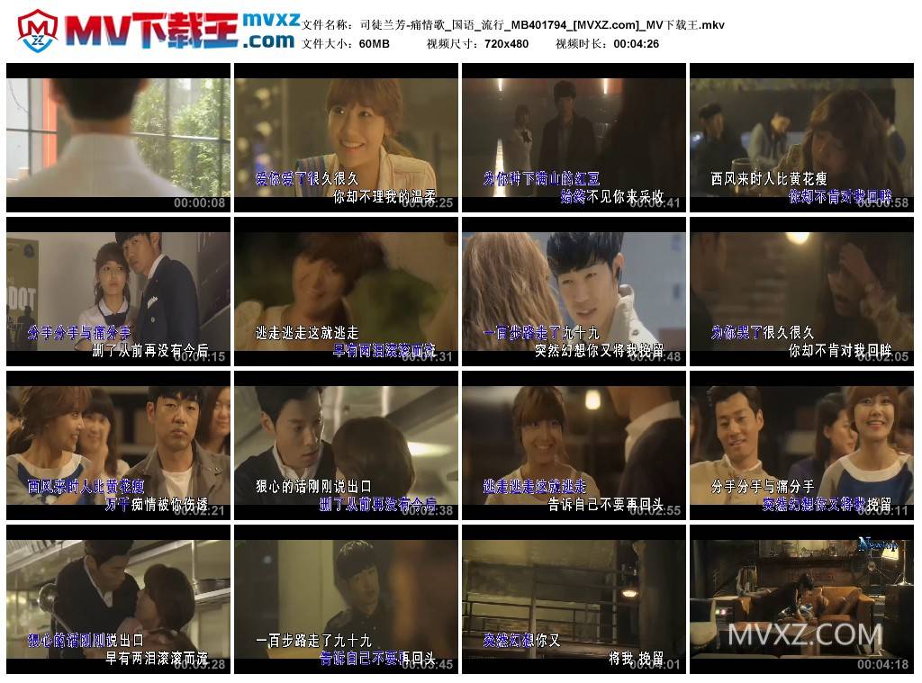 司徒兰芳-痛情歌_国语_流行_MB401794